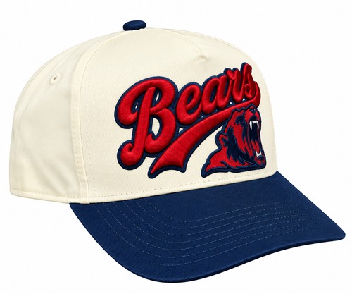 Buchanan Bears Embroidered Snapback Hat